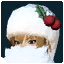 Santa Hat with Beard.png