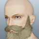 Bearded Robust Face.png