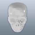 BP SPRIGGAN Crystal Skull.png