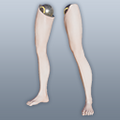 Andraws Legs.png