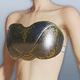 Noble Chest Armor.png
