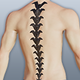 Metal Spine Guard T1.png