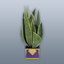 BP Ret Potted Plant B.png