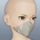 Masked Face T2B.png