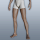 Simple Shorts T1.png