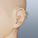 Foxxion Earrings.png